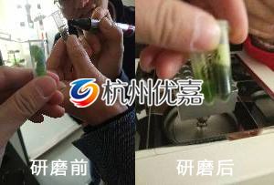 杭州宋慈植物組織研磨儀研磨植物葉片實(shí)驗(yàn)