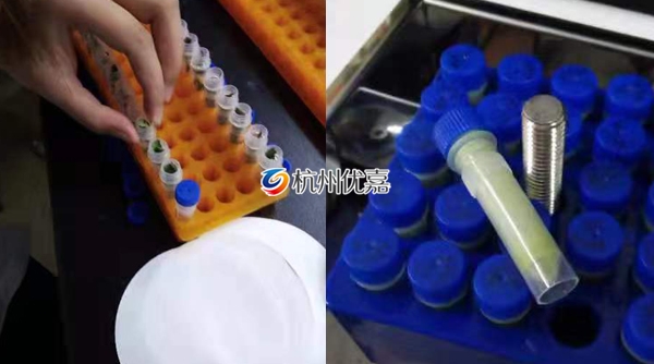 宋慈研磨儀批量研磨植物組織，速度快，重復(fù)性好