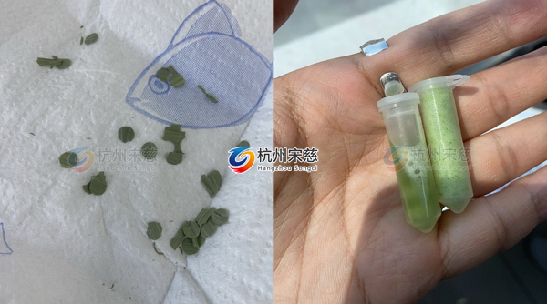 杭州宋慈高通量組織研磨儀對植物葉片研磨效果